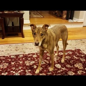 Meet your Posher, Brittany